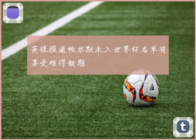 英媒报道帕尔默未入世界杯名单将享受难得假期