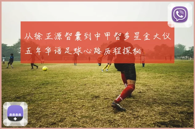 从徐正源智囊到中甲智多星金大仪五年华语足球心路历程探秘