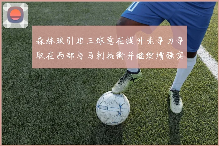 森林狼引进三球意在提升竞争力争取在西部与马刺抗衡并继续增强实力