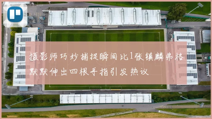 摄影师巧妙捕捉瞬间比1张镇麟弗格默默伸出四根手指引发热议